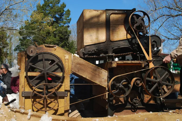 A ginning machine shows the third step of cotton production, cotton ginning.