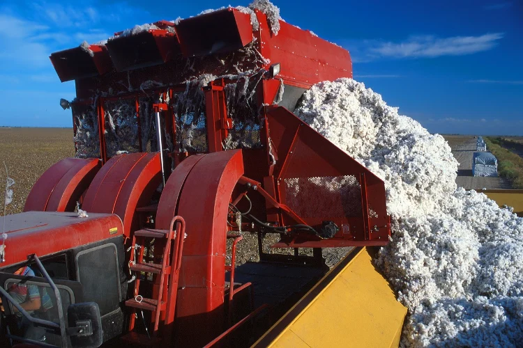 A cotton picker machine shows the second step of cotton production, cotton harvesting.